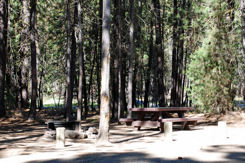 Gull Point Campground, Wickiup Reservoir, OR