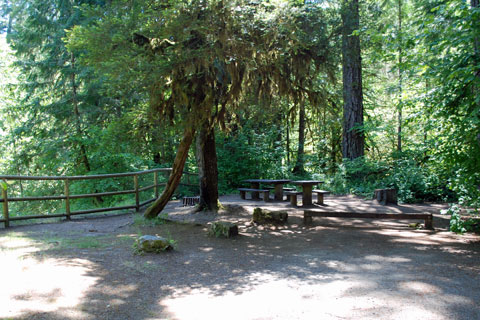 Salmon Creek Falls Campground