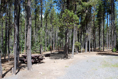 Whitefish Horse Camp, Crescent Lake,  Oregon