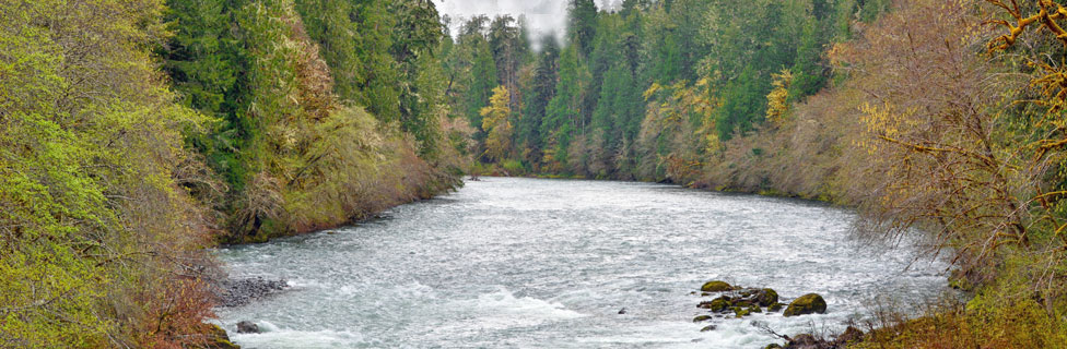 Whistler's Bend County Park Campground