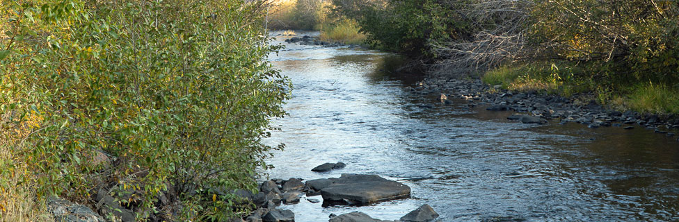 Marster Spring Campground