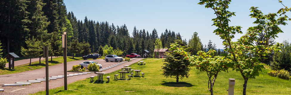 Stub Stewart StatePark, Oregon