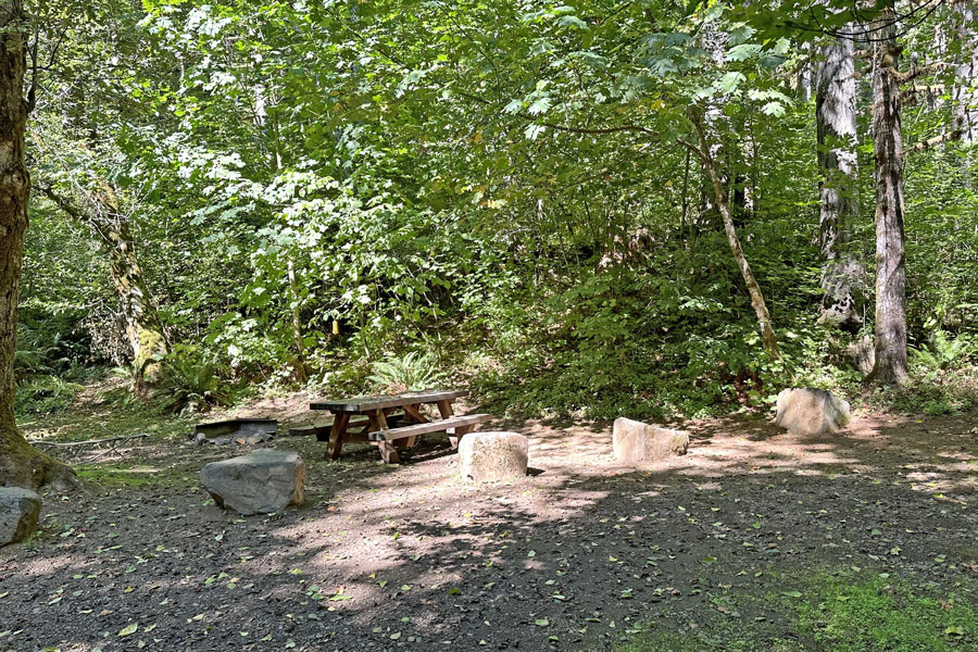 Gales Creek campground, Tillamook Stae Forest, Oregon