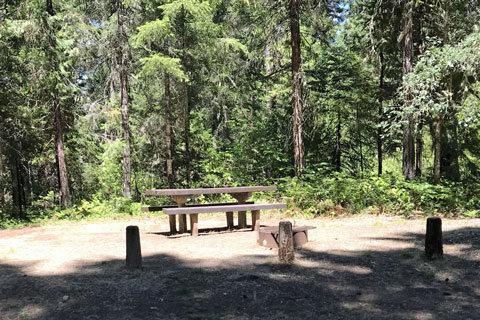 Packard Creek Campground, Hills Creek Reservoir, Oregon