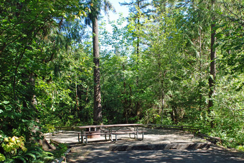 Cavitt Creek Campground, Douglas County, Oregon