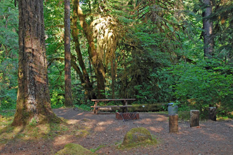 Coolwater Campround, Umpqua National Forest, Oregon