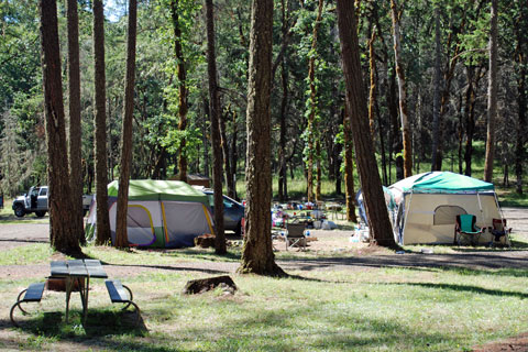 Whistler's Bend County Park Campground