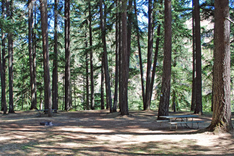 Whistler's Bend County Park Campgound, Douglas County, Oregon