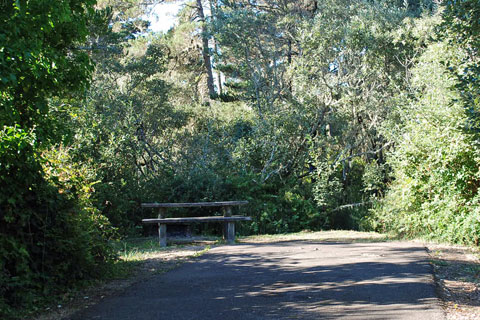 Bluebill Campground, Oregon Dunes