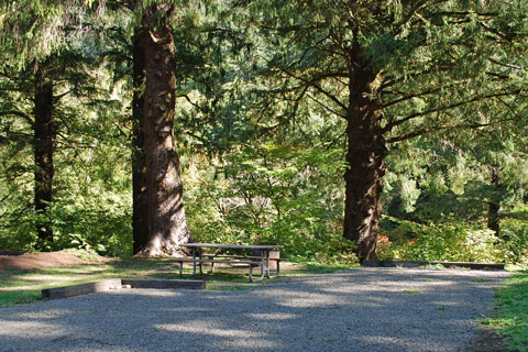 Kilchis River County Campground, Tillamook County, Oregon