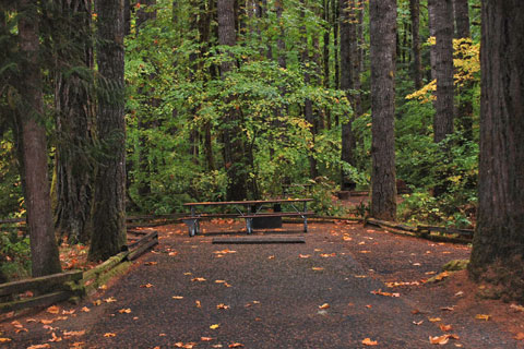 Millpond Campground, Rock Creek, Oregon