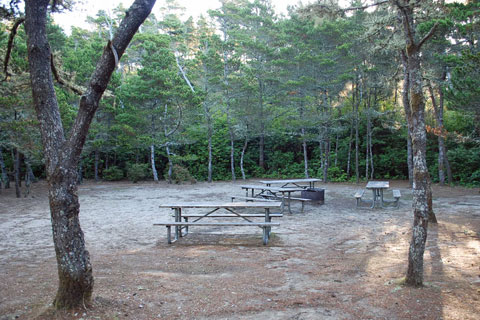 South Beach State Park Group Campground, Lincoln County, Oregon