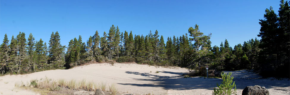 Wild Mare Campground