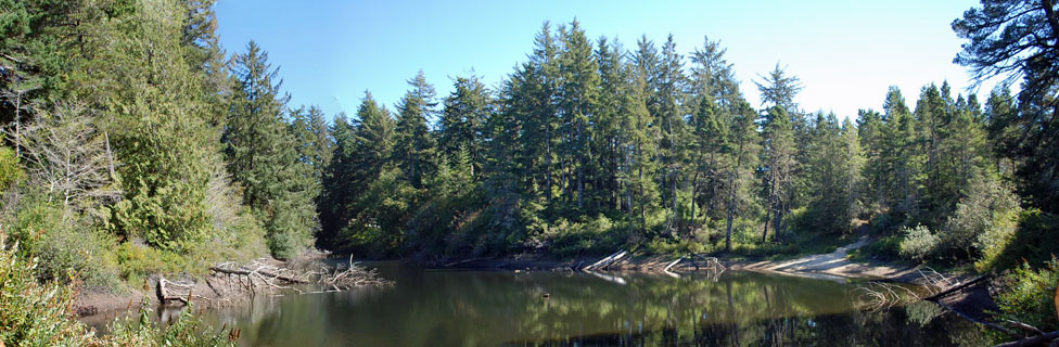 Alder Dune Campground