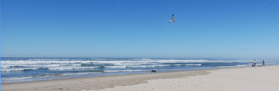 Beachside SRA, Lincoln Bay, Oregon