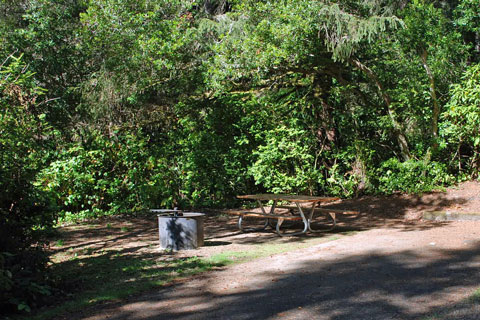 Carter Lake Campground, Siuslaw National Forest, Oregon