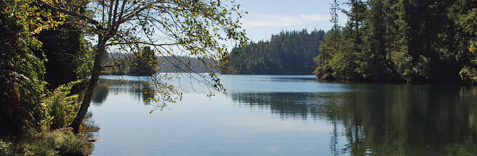 Jesse M. Honeyman State Park, Lane County, Oregon