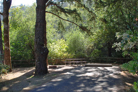 Humbug Mountain State Park Campground, Curry County, Oregon