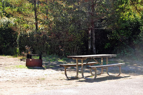 Lagoon Campground, Siuslaw National Forest, Oregon