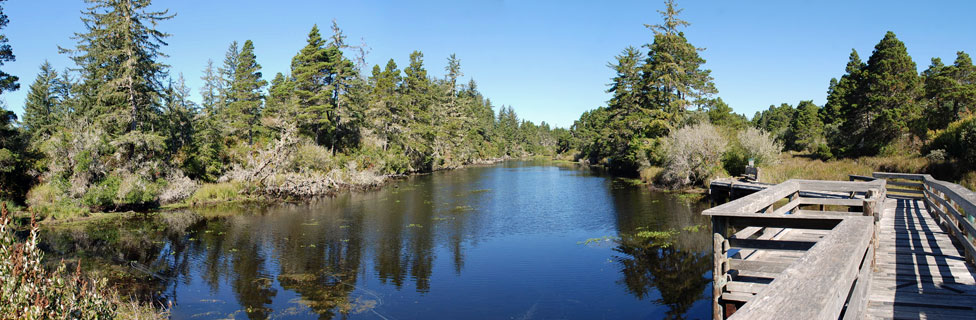 Lagoon, Oregon Dunes National Recreation Area, Oregon