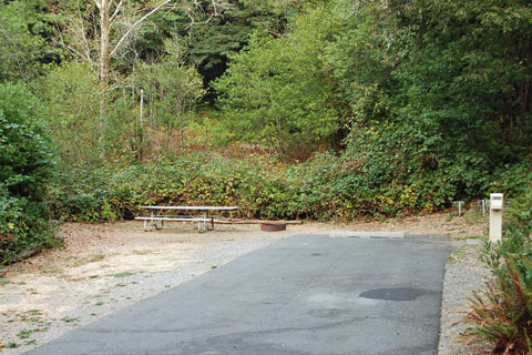 Loeb State Park Campground, Curry County, Oregon