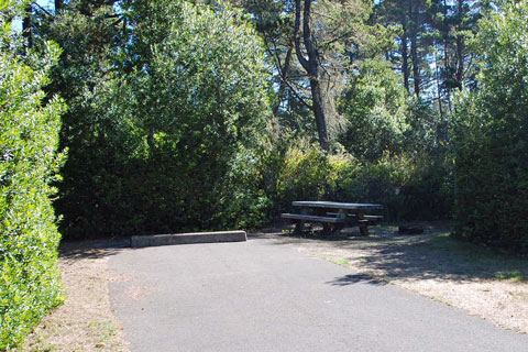 Waxmyrtle Campground, Siuslaw National Forest, Oregon