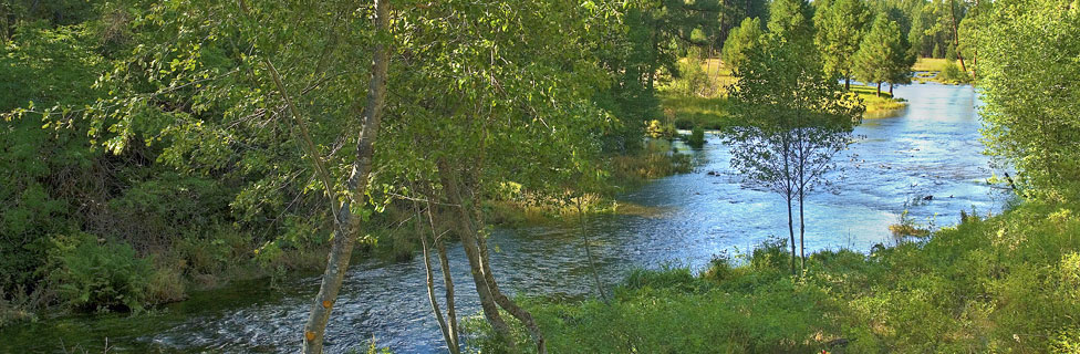 Metolius River, Deschutes National Forest, Oregon