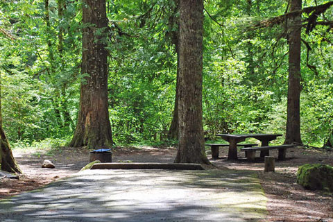 Breitenbush Campground, Willamette National Forest, Oregon