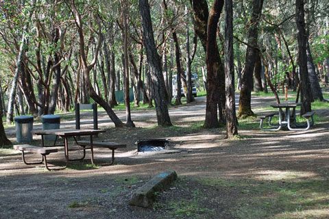 Cantrall Buckley County Park Campground, Jackson County, Oregon