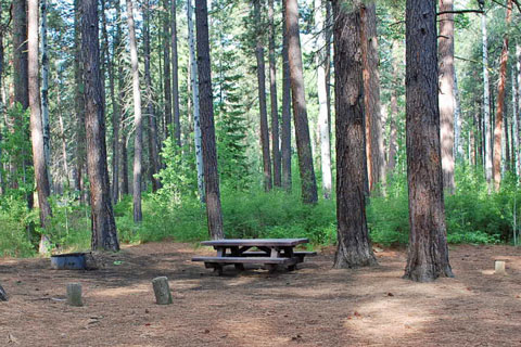 Cold Springs Campground, Deschutes National Forest, Oregon