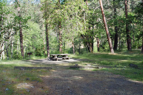 Jackson Campground, Rogue River - Siskiyou National Forest, Oregon