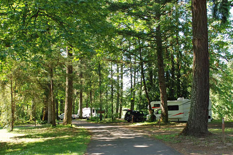 John Neal Memorial Park Campground, Linn County, Oregon