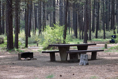 Smiling River Campground, Deschutes National Forest, Oregon