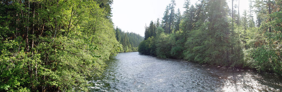 McKenzie River, Willamette National Forest, Oregon