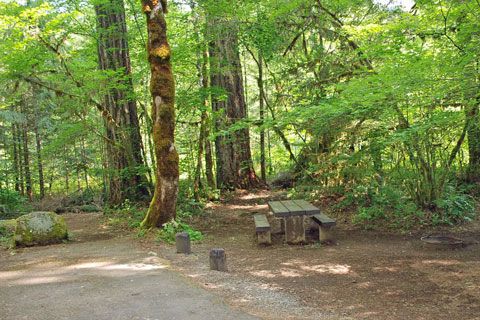 Paradise Campground, Willameette National Forest, Oregon