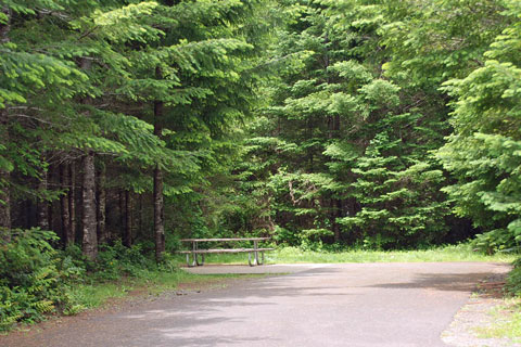 River Bend County Park Campground, Linn County, Oregon