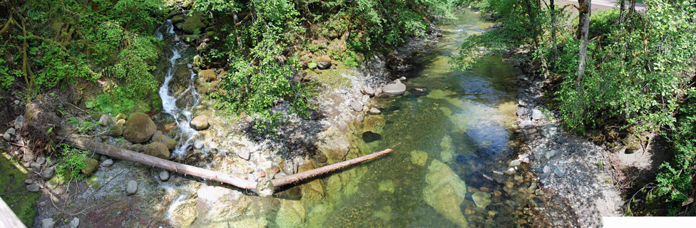 Santiam River, Willamette National Forest, Oregon