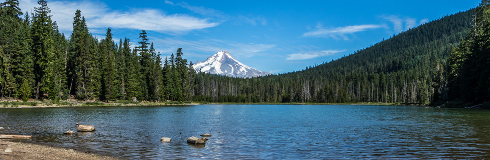 Frog Lake, Mt. Hood National Forest,  Oregon