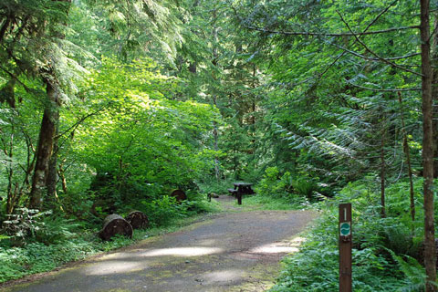 Green Canyon Campground, Mt. Hood National Forest, Oregon